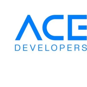ACE Developers Limited logo