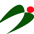 AI International Limited logo