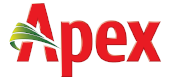 Apex (Apex Footwear Retail) logo