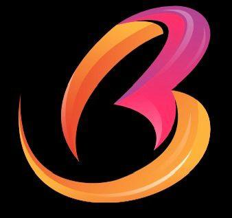 Badhon Service Ltd logo