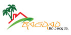 Bagdad Holdings Limited logo