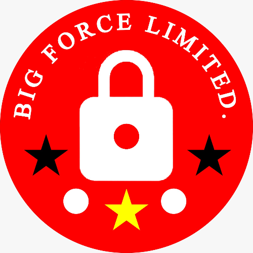 Big Force Ltd logo