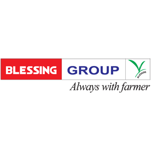 Blessing Group logo