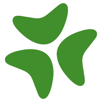 Bloomerang logo