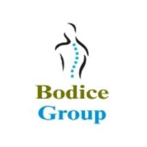 Bodice Group logo