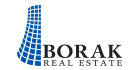Borak Real Estate Limited logo