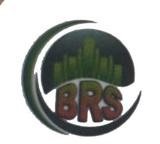 BRS Developments Limited logo