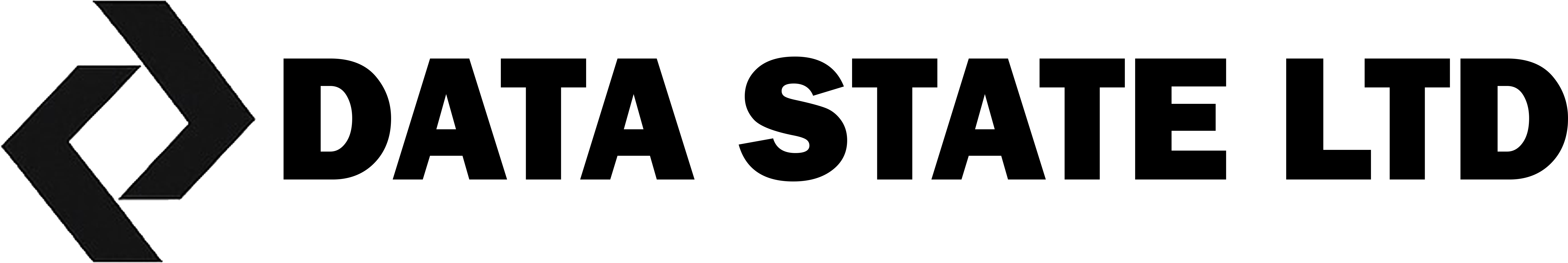 Data State Ltd. logo