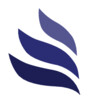 DESIGN MATRIX logo