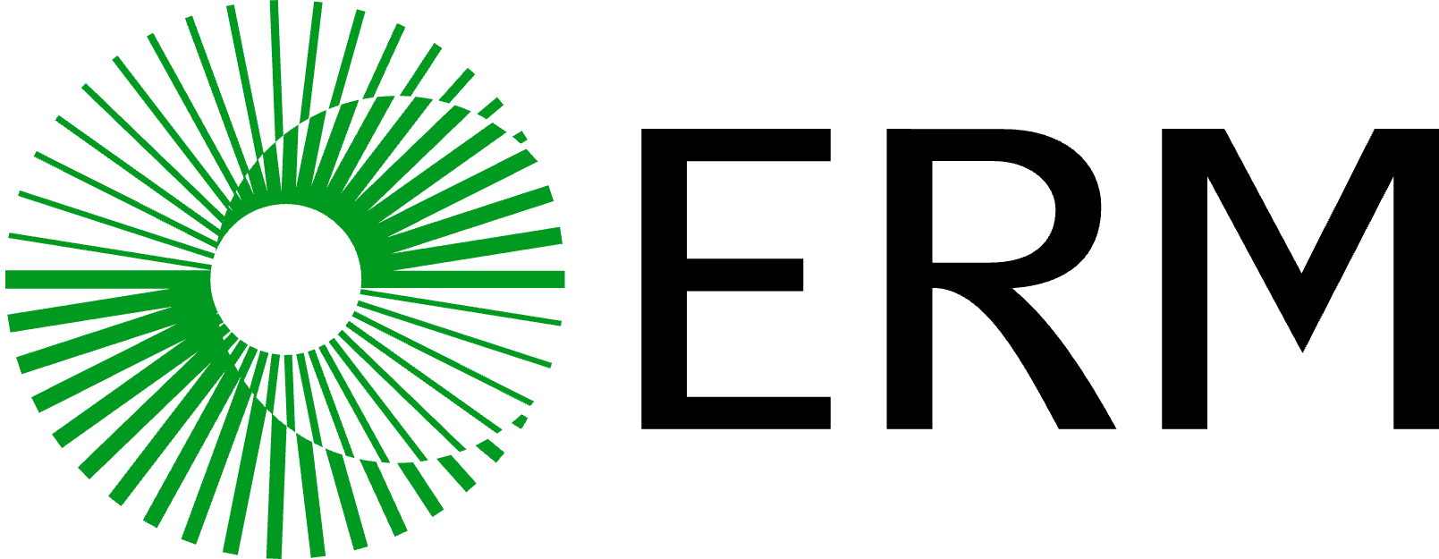 ERM logo
