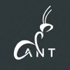 Grey Ant logo