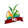 HADI GROUP logo