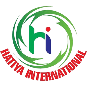 Hatiya International logo