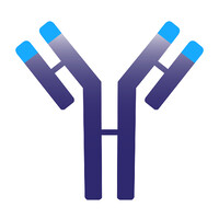 Immunovant, Inc logo
