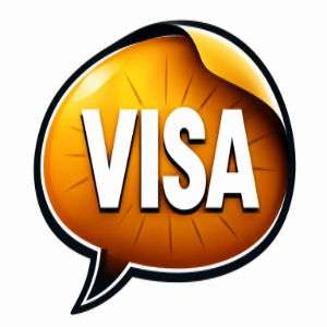 New line visa agency logo