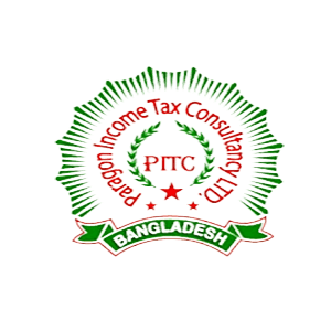 paragon income tax consultancy LTD logo