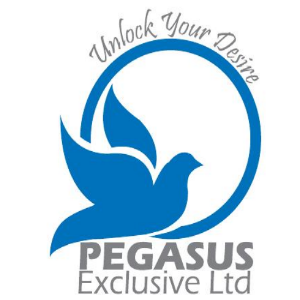 PEGASUS Exclusive Ltd logo