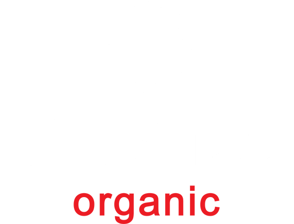 Ribana logo