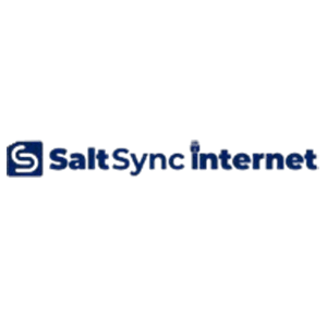 SaltSync logo