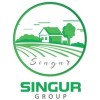 Singur Group logo
