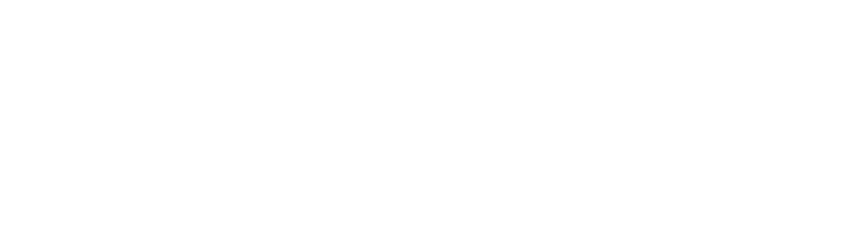 South East Textiles (Pvt.) Ltd. logo
