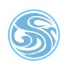 Surge Bangladesh logo