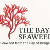 The Bay Seaweed logo