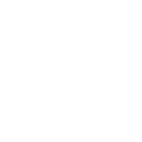 Vetto logo