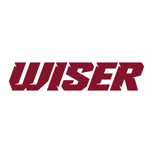 WISER CLOTHING logo